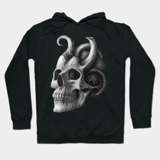 resident Evil, art skull Hoodie